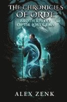 bokomslag The Chronicles of Ordi