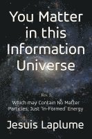 bokomslag You Matter in this Information Universe: Which May Contain No Matter Particle; Just 'In-Formed' Energy