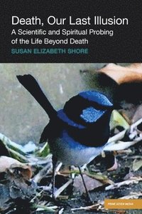 bokomslag Death, Our Last Illusion