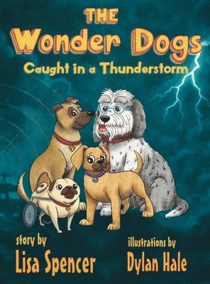 Wonder Dogs Caught in a Thunderstorm