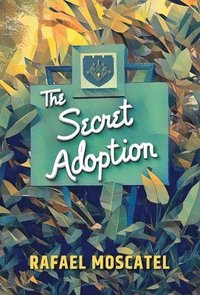 bokomslag Secret Adoption