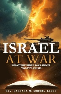 bokomslag Israel at War