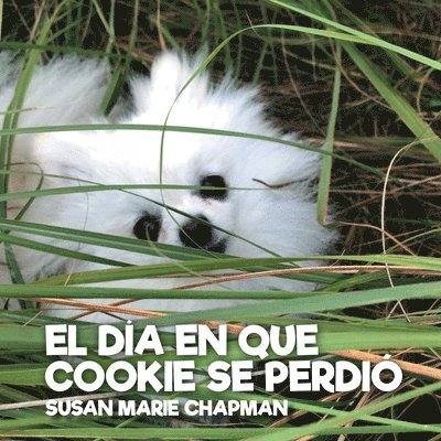 Día En Que Cookie Se Perdió, Häftad