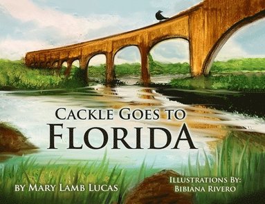 bokomslag Cackle Goes To Florida