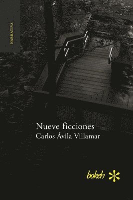 Carlos Ávila Villamar - Nueve ficciones, Häftad