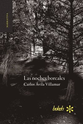 Carlos Ávila Villamar - noches boreales, Häftad