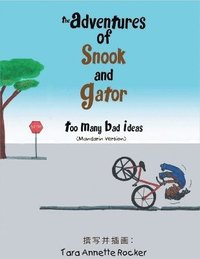 bokomslag The Adventures of Snook and Gator
