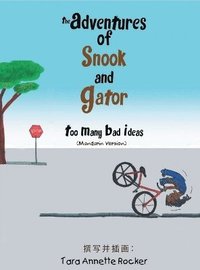 bokomslag The Adventures of Snook and Gator