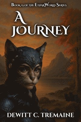 bokomslag Journey