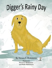 bokomslag Digger's Rainy Day