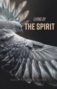 bokomslag Living By The Spirit