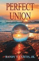bokomslag Perfect Union
