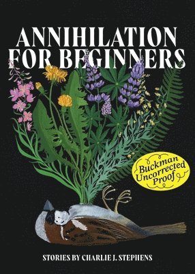 Charlie J. Stephens, Charlie J Stephens - Annihilation for Beginners, Häftad