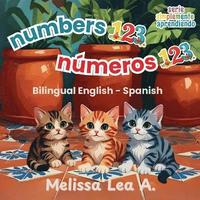 bokomslag numbers 123 números 123