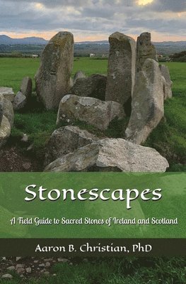 bokomslag Stonescapes