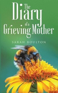 bokomslag Diary of a Grieving Mother