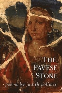 bokomslag The Pavese Stone