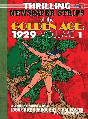 bokomslag Thrilling Newspaper Strips of the Golden Age, 1929 Volume 1 (Hardcover)