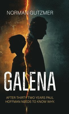 Norman Gutzmer, Janie Mills - Galena, Inbunden