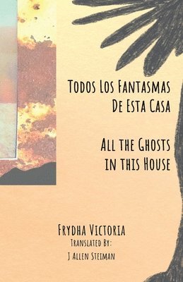bokomslag Todos Los Fantasmas De Esta Casa (All the Ghosts in this House)
