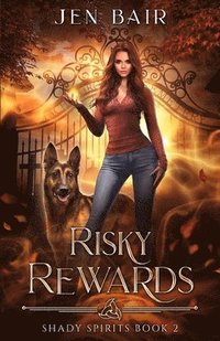 bokomslag Risky Rewards