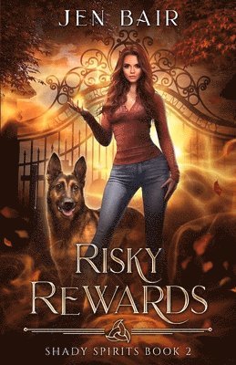 bokomslag Risky Rewards