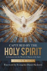 bokomslag Captured by the Holy Spirit