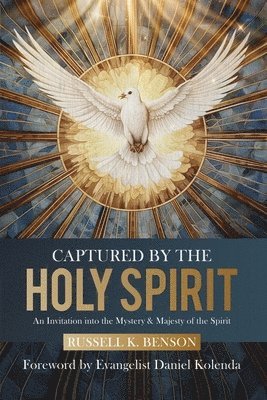 bokomslag Captured by the Holy Spirit
