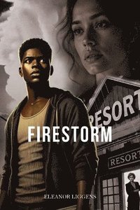 bokomslag Firestorm
