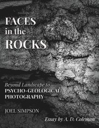 bokomslag Faces In The Rocks
