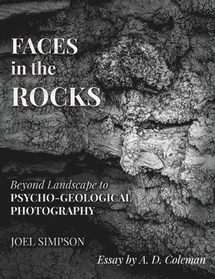 bokomslag Faces In The Rocks