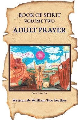 bokomslag Book of Spirit Volume 2
