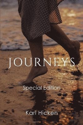bokomslag Journeys
