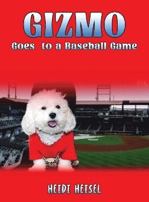 bokomslag Gizmo Goes to a Baseball Game