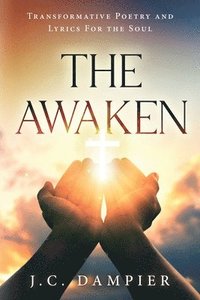 bokomslag Awaken