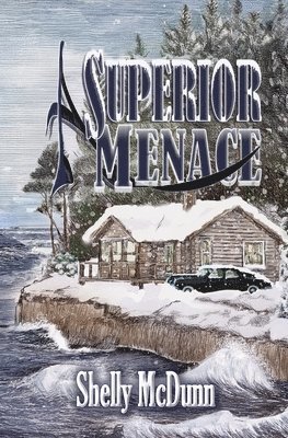 bokomslag Superior Menace