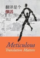 bokomslag Meticulous Translation Matters