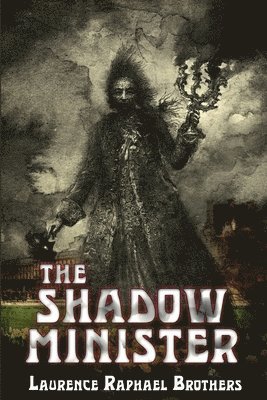bokomslag Shadow Minister