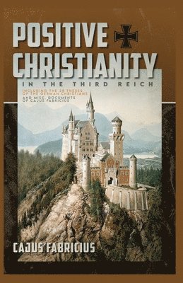 bokomslag Positive Christianity in the Third Reich