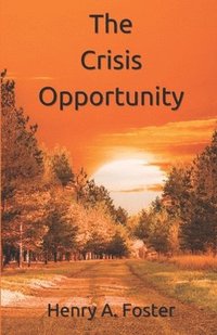 bokomslag Crisis Opportunity