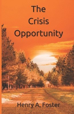 bokomslag The Crisis Opportunity