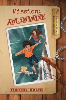 bokomslag Mission Aquamarine