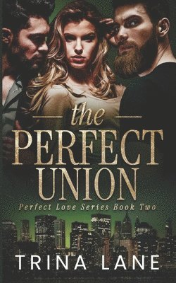 bokomslag Perfect Union
