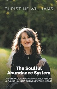 bokomslag Soulful Abundance System
