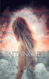 bokomslag Entangled