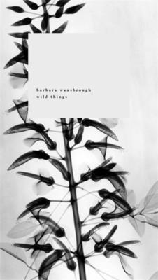 bokomslag Wild Things