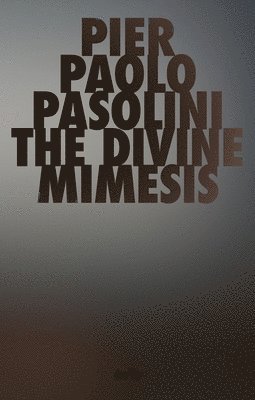 bokomslag Divine Mimesis