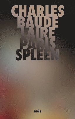 bokomslag Paris Spleen