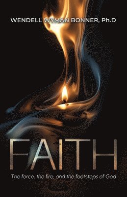 bokomslag Faith