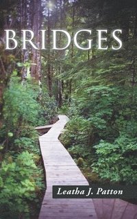 bokomslag Bridges